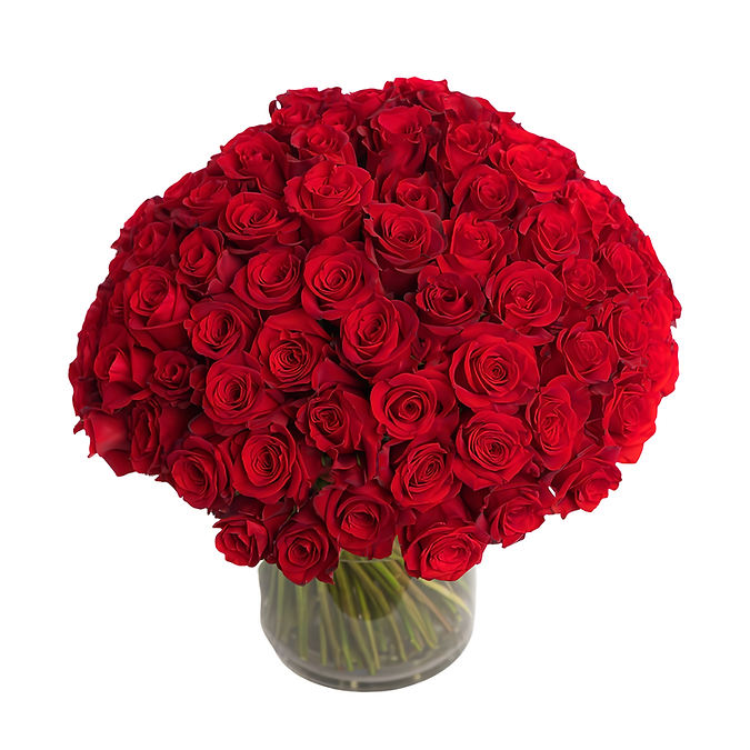 100 Red Roses in a Vase