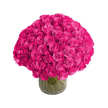 100 Pink Roses in a Vase