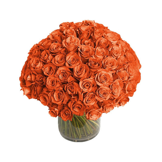 100 Orange Roses in a Vase