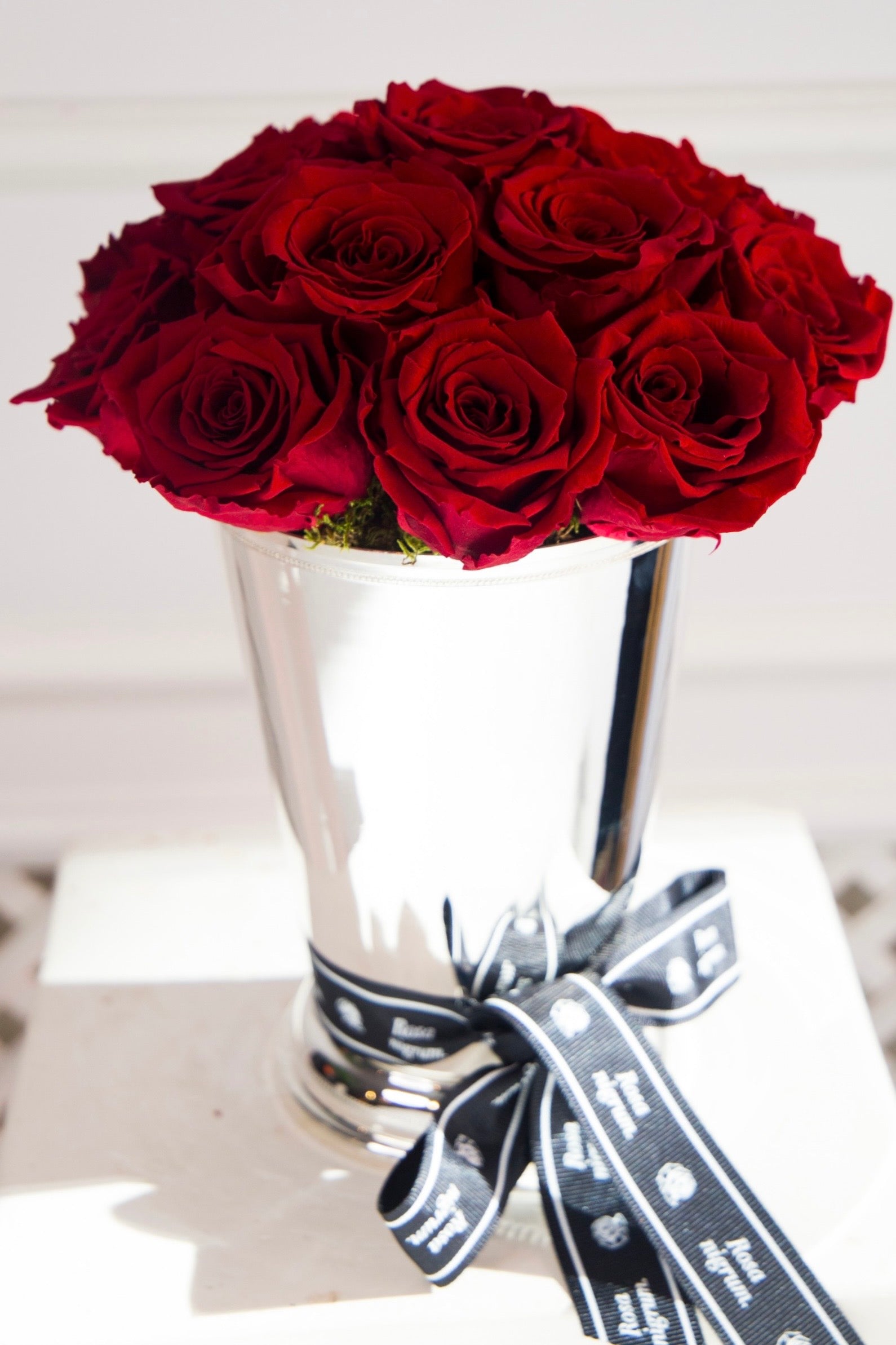 Riga Large Size Red Unfading Rose – Rosa nigrum