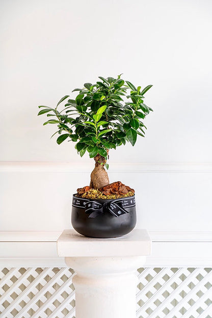 Bonsai