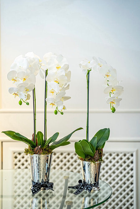 Artificial White Double Orchid