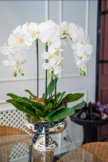 Artificial White Orchids