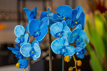 Artificial Blue Orchid