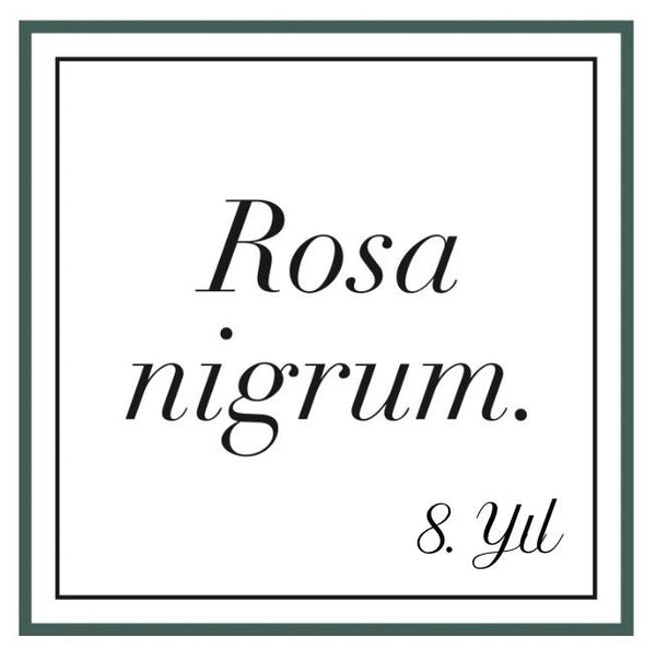 Rosa nigrum